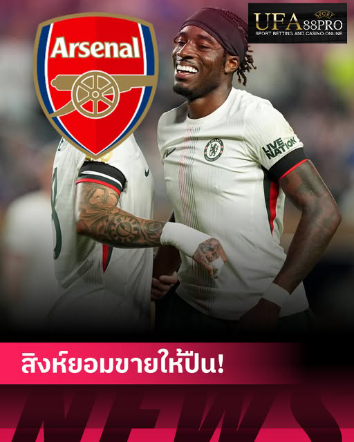 516335167 1191848832987359 1926355567317667436 n