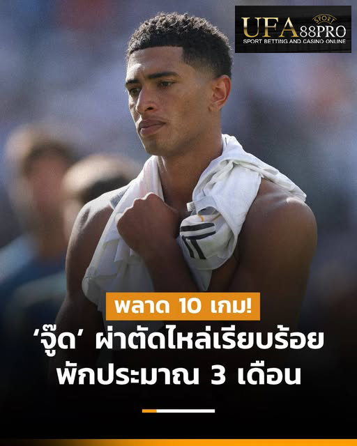 518731804 1172402378260122 3394382919006762080 n 518731804 1172402378260122 3394382919006762080 n